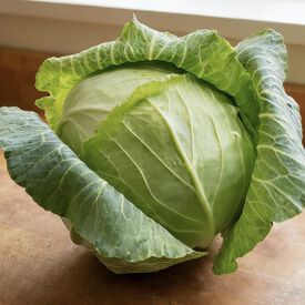 Copenhagen Market, Cabbage Seeds